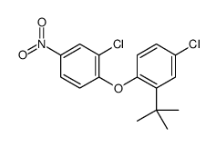 1-(2-tert-butyl-4-chlorophenoxy)-2-chloro-4-nitrobenzene结构式
