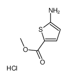 5-氨基-噻吩-2-甲酸甲酯(HCL)结构式
