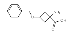 1-氨基-3-苯甲氧基-环丁烷羧酸结构式