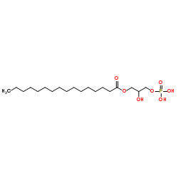 1-Palmitoyl lysophosphatidic acid structure