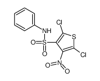 2,5-dichloro-4-nitro-N-phenylthiophene-3-sulfonamide结构式