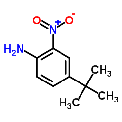 4-(叔丁基)-2-硝基苯胺结构式