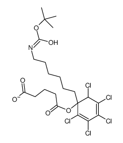 5-oxo-5-[2,3,4,5,6-pentachloro-1-[6-[(2-methylpropan-2-yl)oxycarbonylamino]hexyl]cyclohexa-2,4-dien-1-yl]oxypentanoate Structure