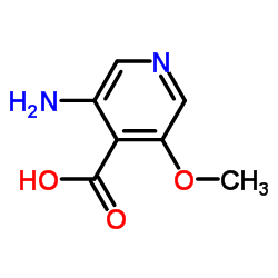 3-氨基-5-甲氧基异烟酸结构式