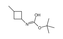 tert-butyl N-(3-methylcyclobutyl)carbamate Structure