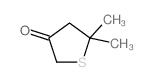 5,5-dimethylthiolan-3-one Structure