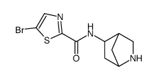N-(2-azabicyclo[2.2.1]heptan-5-yl)-5-bromo-1,3-thiazole-2-carboxamide Structure