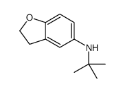 N-tert-butyl-2,3-dihydro-1-benzofuran-5-amine Structure