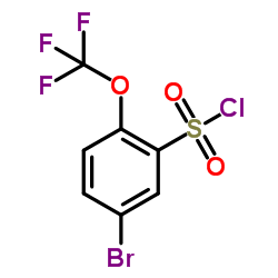 5-溴-2-(三氟甲氧基)苯-1-磺酰氯图片