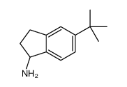 5-叔丁基-2,3-二氢-1H-茚-1-胺结构式