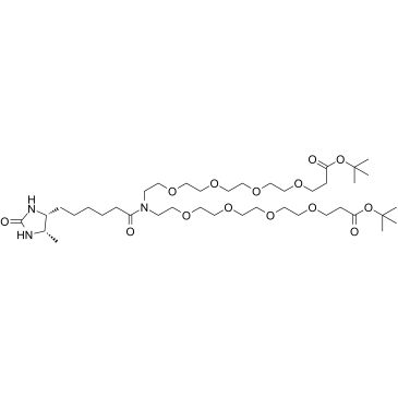 N-Desthiobiotin-N-bis(PEG4-t-butyl ester)结构式