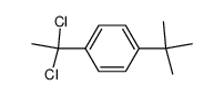 1-(tert-butyl)-4-(1,1-dichloroethyl)benzene Structure