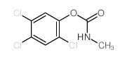 Phenol,2,4,5-trichloro-, 1-(N-methylcarbamate)结构式