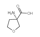 (S)-3-氨基四氢噻吩-3-羧酸结构式