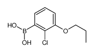2-Chloro-3-propoxyphenylboronic acid Structure