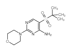 5-(tert-butylsulfonyl)-2-morpholinopyrimidin-4-amine Structure