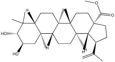 2α,3β-Dihydroxylup-20(29)-en-28-oic acid methyl ester structure
