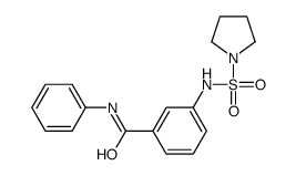 N-phenyl-3-(pyrrolidin-1-ylsulfonylamino)benzamide结构式