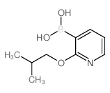 2-异丁氧基吡啶-3-硼酸结构式