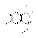 2-氯-5-三氟甲基异烟酸甲酯结构式
