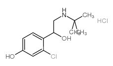 2-氯-α-[[(1,1-二甲基乙基)氨基]甲基]-4-羟基-苯甲醇盐酸盐结构式
