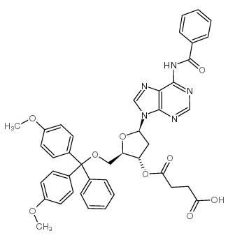 5'-O-(4,4'-二甲氧基三苯甲基)-N6-苯甲酰基-2'-脱氧腺苷-3'-O-琥珀酸图片