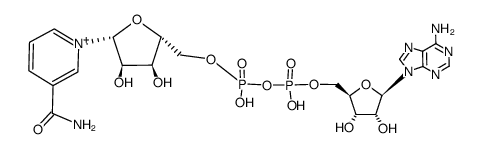 β-NADP+ Structure