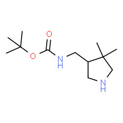 N-[((4,4-二甲基吡咯烷-3-基)甲基]氨基甲酸叔丁酯结构式