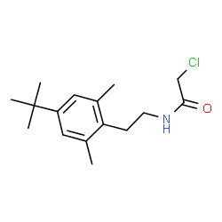 N-[2-(4-叔丁基-2,6-二甲基苯基)乙基]-2-氯乙酰胺结构式