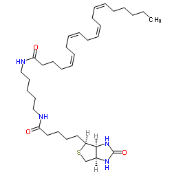 (5Z,8Z,11Z,14Z)-N-[5-({5-[(3aS,4S,6aR)-2-Oxohexahydro-1H-thieno[3 ,4-d]imidazol-4-yl]pentanoyl}amino)pentyl]-5,8,11,14-icosatetraen amide Structure