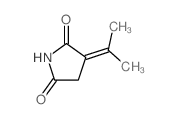 3-propan-2-ylidenepyrrolidine-2,5-dione结构式