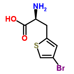 3-(4-Bromo-2-thienyl)-L-alanine Structure