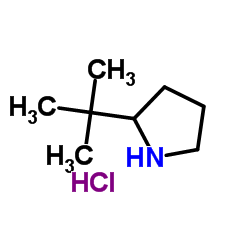 2-(2-Methyl-2-propanyl)pyrrolidine hydrochloride (1:1) Structure