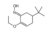 N-(5-tert-butyl-2-ethoxycyclohex-2-en-1-ylidene)hydroxylamine Structure