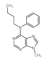 N-butyl-9-methyl-N-phenyl-purin-6-amine Structure