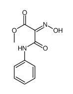 methyl 3-anilino-2-hydroxyimino-3-oxopropanoate结构式