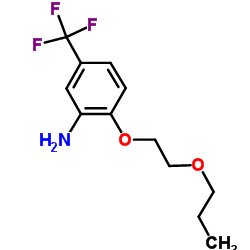 2-(2-Propoxyethoxy)-5-(trifluoromethyl)aniline结构式