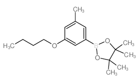 3-丁氧基-5-甲基苯硼酸频那醇酯结构式