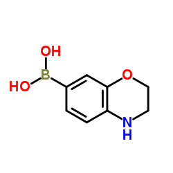 3,4-Dihydro-2H-1,4-benzoxazin-7-ylboronic acid Structure