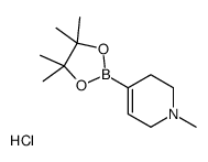 1-甲基-4-(4,4,5,5-四甲基-1,3,2-二氧硼杂环戊烷-2-基)-1,2,3,6-四氢吡啶盐酸盐图片