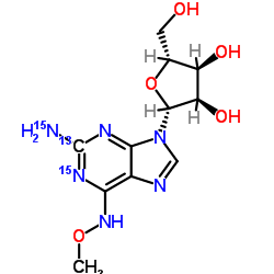 鸟苷-13C,15N2 6-(O-甲基肟)结构式