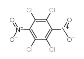 四氯-1,4-二硝基苯结构式