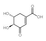 (-)-3-DEHYDROSHIKIMIC ACID Structure