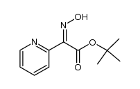 t-butyl α-syn-oximino-α-(2-pyridyl)acetate Structure