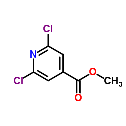 甲基2,6二氯异烟结构式