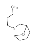 7-butyl-8-oxa-7-azabicyclo[3.2.1]octane Structure