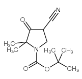 叔-丁基 4-氰基-3-羟基-2,2-二甲基-2,5-二氢-1H-吡咯-1-甲酸基酯结构式