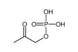 2-oxopropyl dihydrogen phosphate Structure