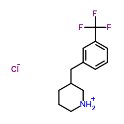 3-(3-(trifluoromethyl)benzyl)piperidine hydrochloride Structure