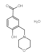 4-hydroxy-3-(morpholin-4-ylmethyl)benzoic acid,hydrate Structure